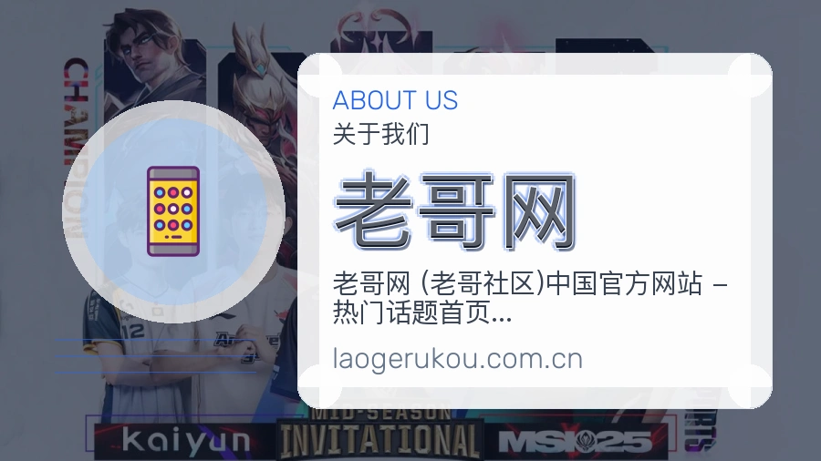 老哥网平台服务介绍